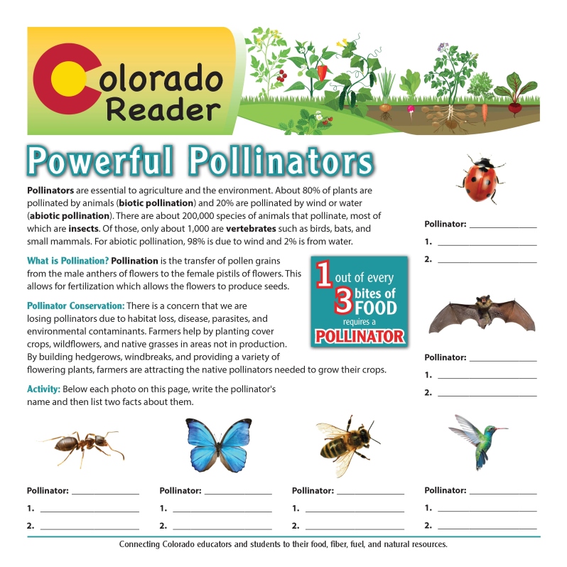 Colorado Reader: Powerful Pollinators